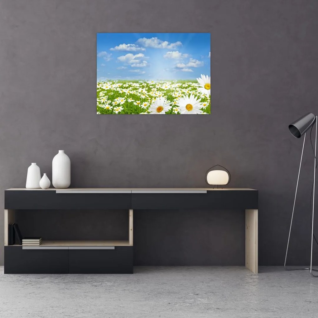 Tablou pe sticlă cu luncă înflorită cu margarete (70x50 cm)
