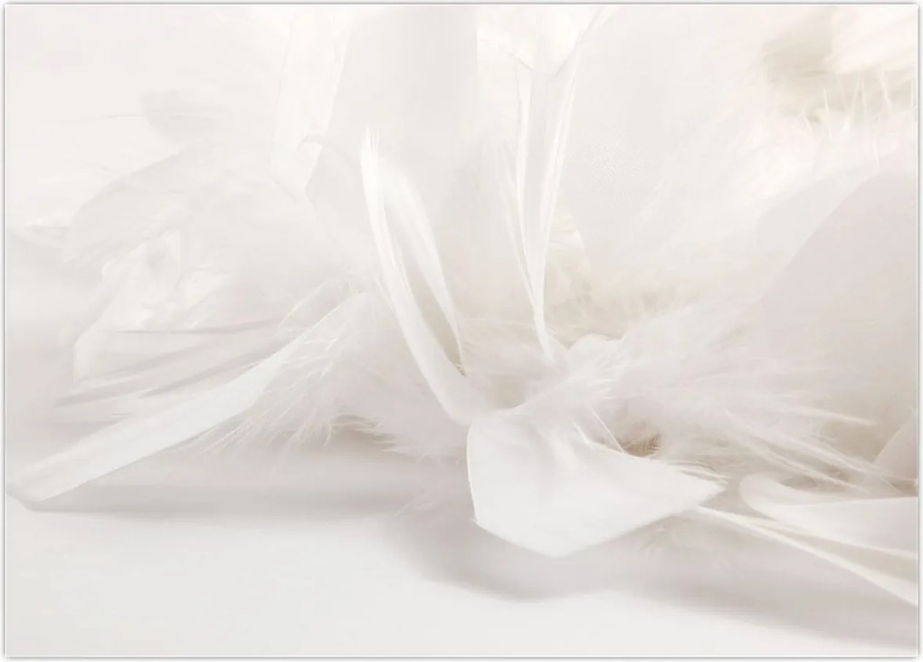 Tablou - Pană (70x50 cm)