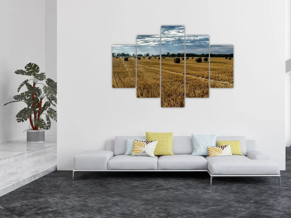 Tablou cu câmp recoltat (150x105 cm)