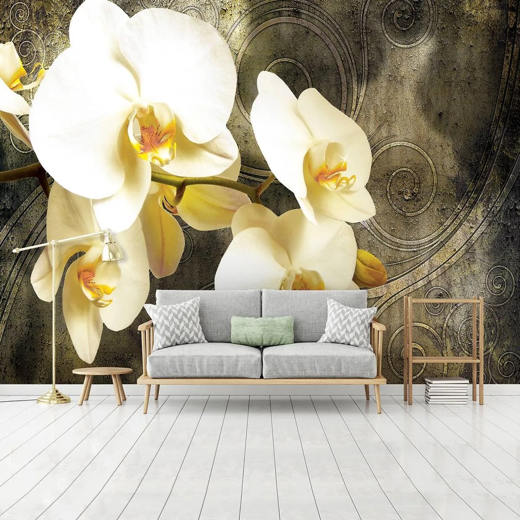 Fototapet - Orhidee (152,5x104 cm)