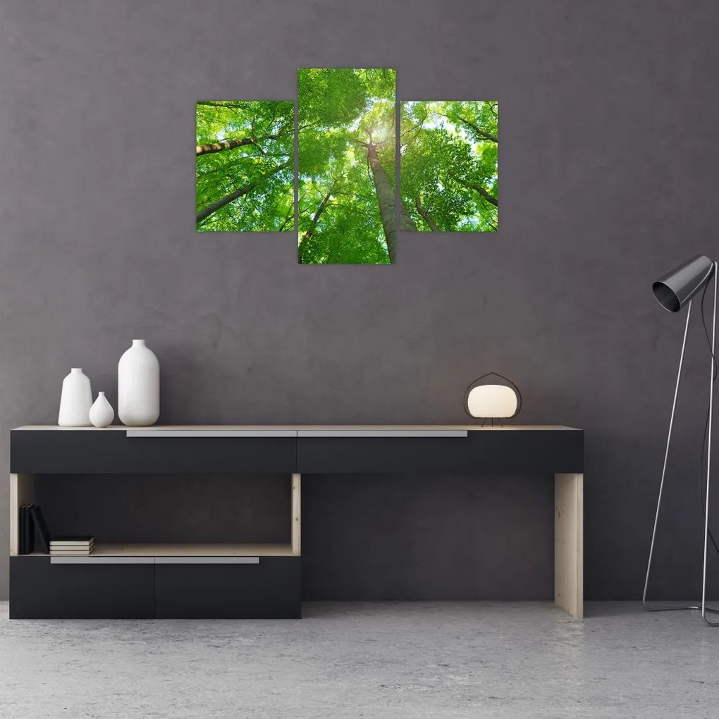 Tablou - Lunca (90x60 cm)