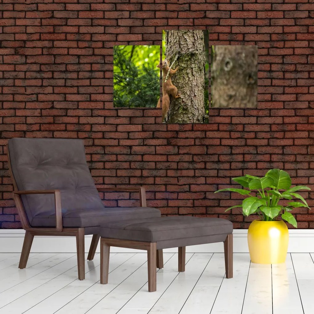 Tablou - Veverița (90x60 cm)