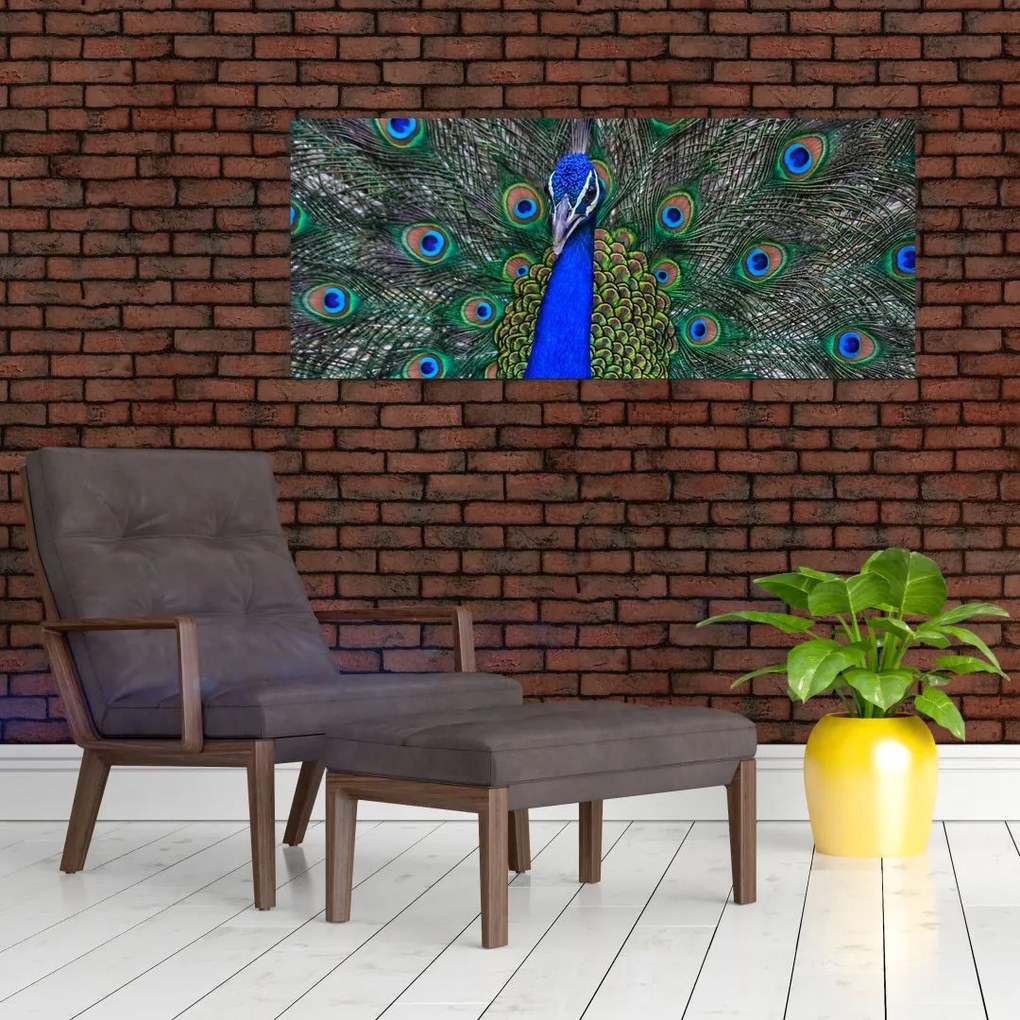 Tablou - Păun (120x50 cm)