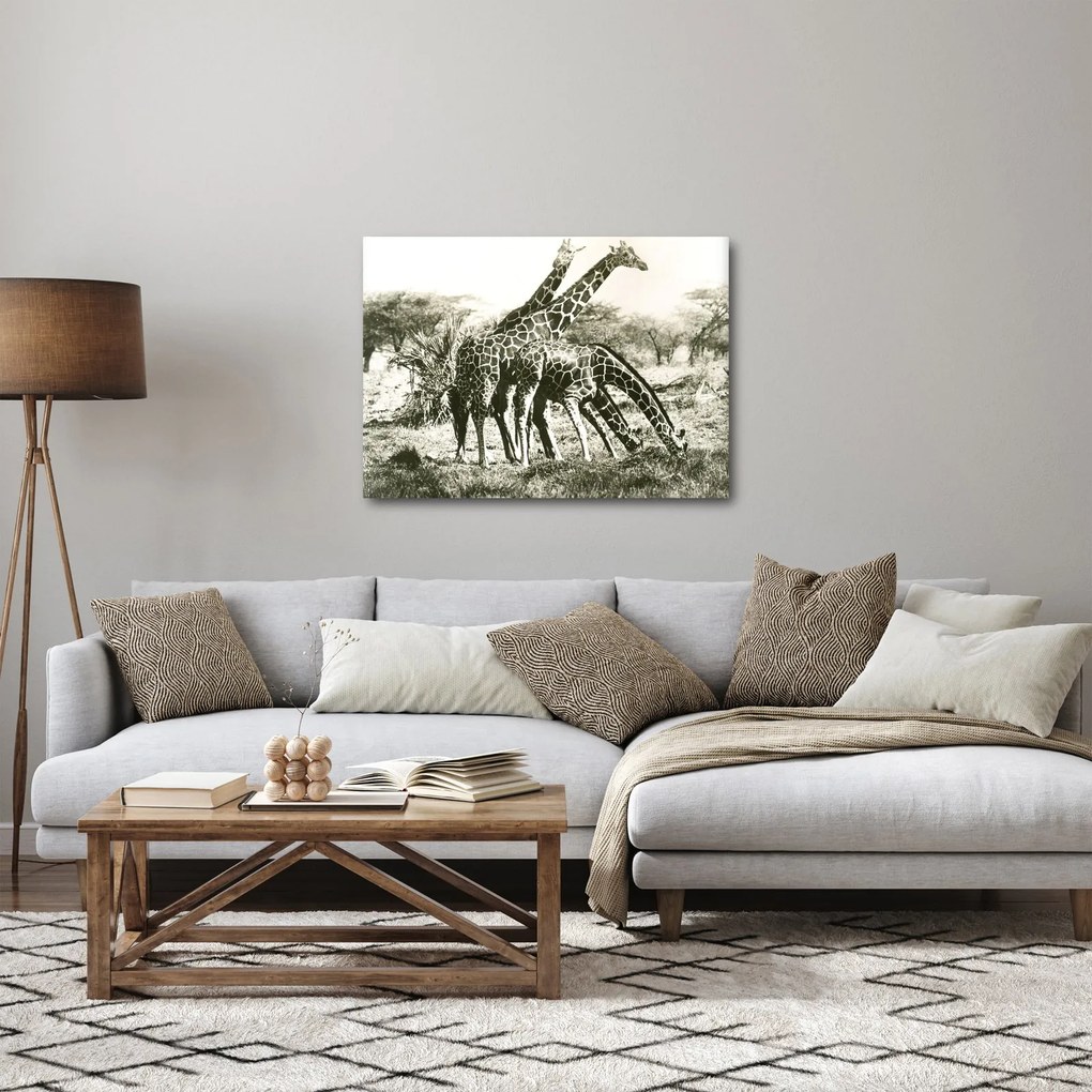 Tablou - Girafe, de epocă (70x50 cm)