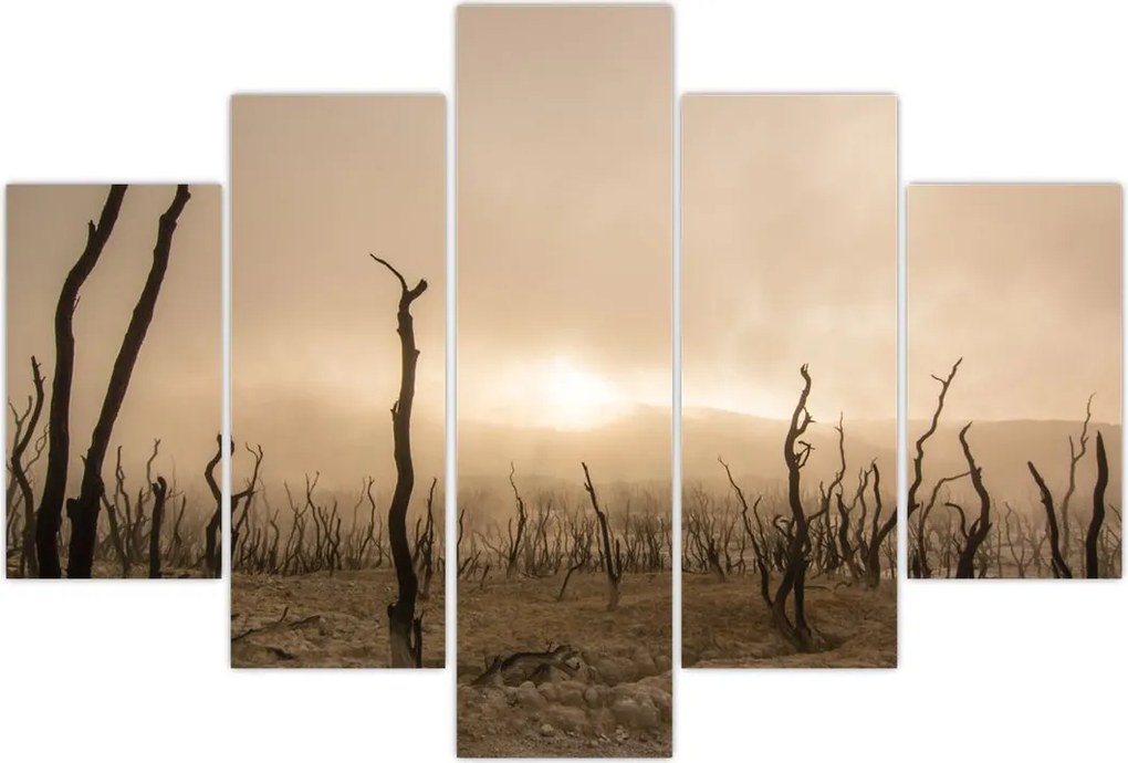 Tablou - Copaci goi (150x105 cm)