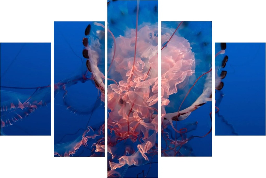 Tablou - Medusa (150x105 cm)