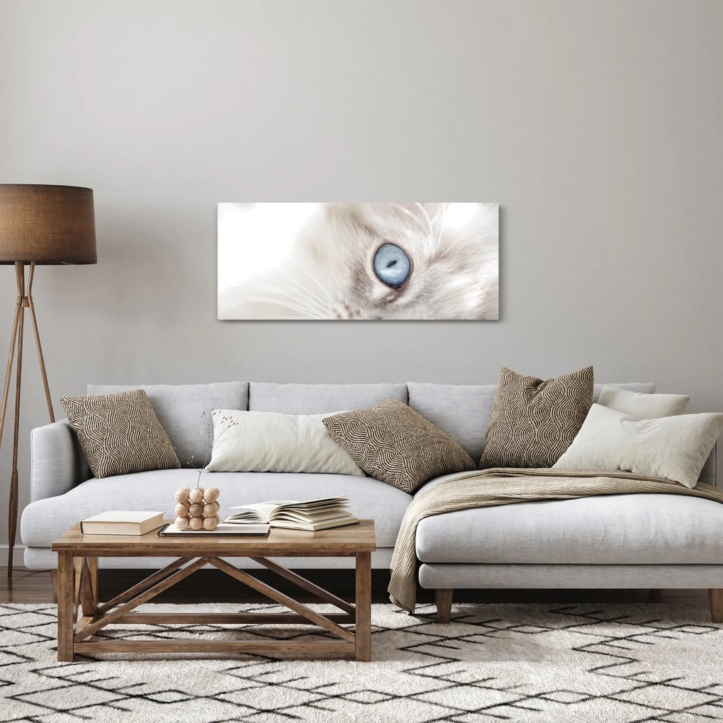 Tablou - Pisica cu ochi albaștri (120x50 cm)