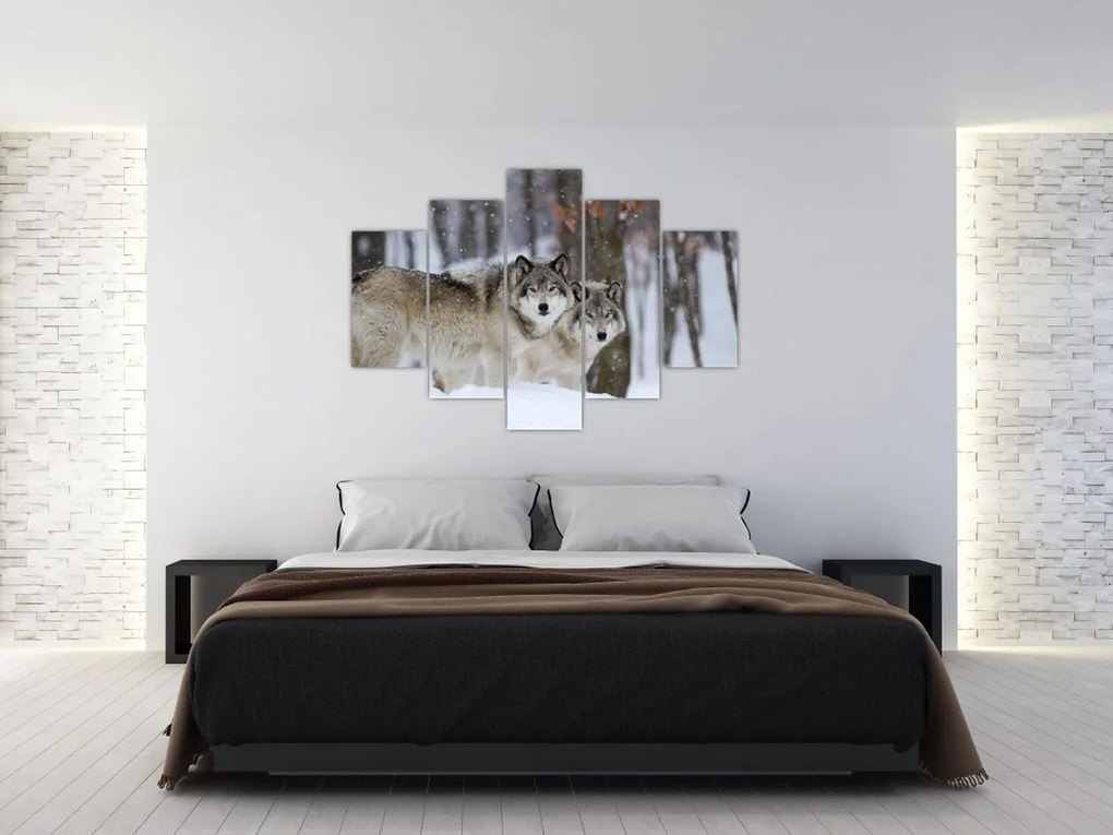 Tablou - Lupii în timpul iernii (150x105 cm)
