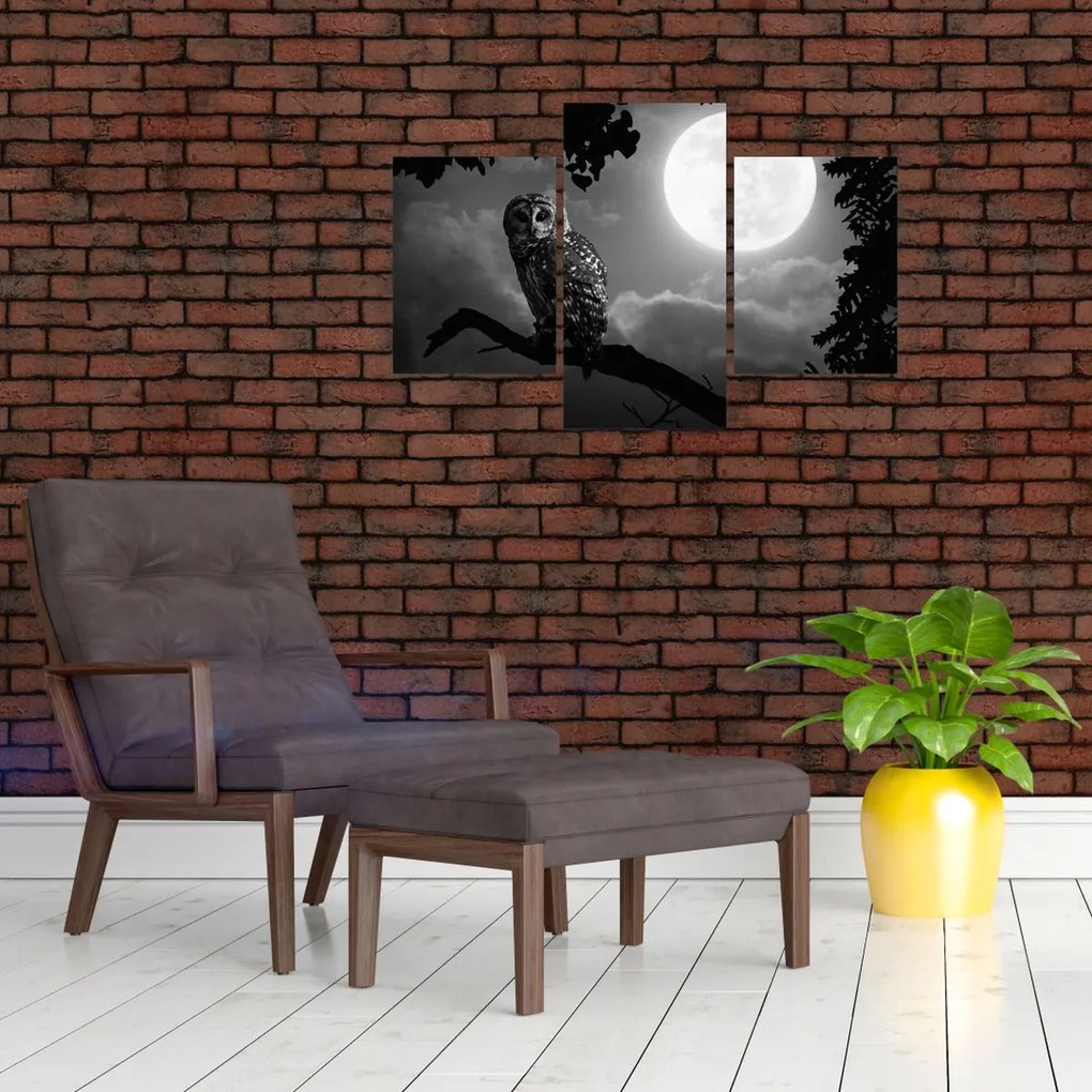 Tablou - Bufniță de noapte, alb și negru (90x60 cm)