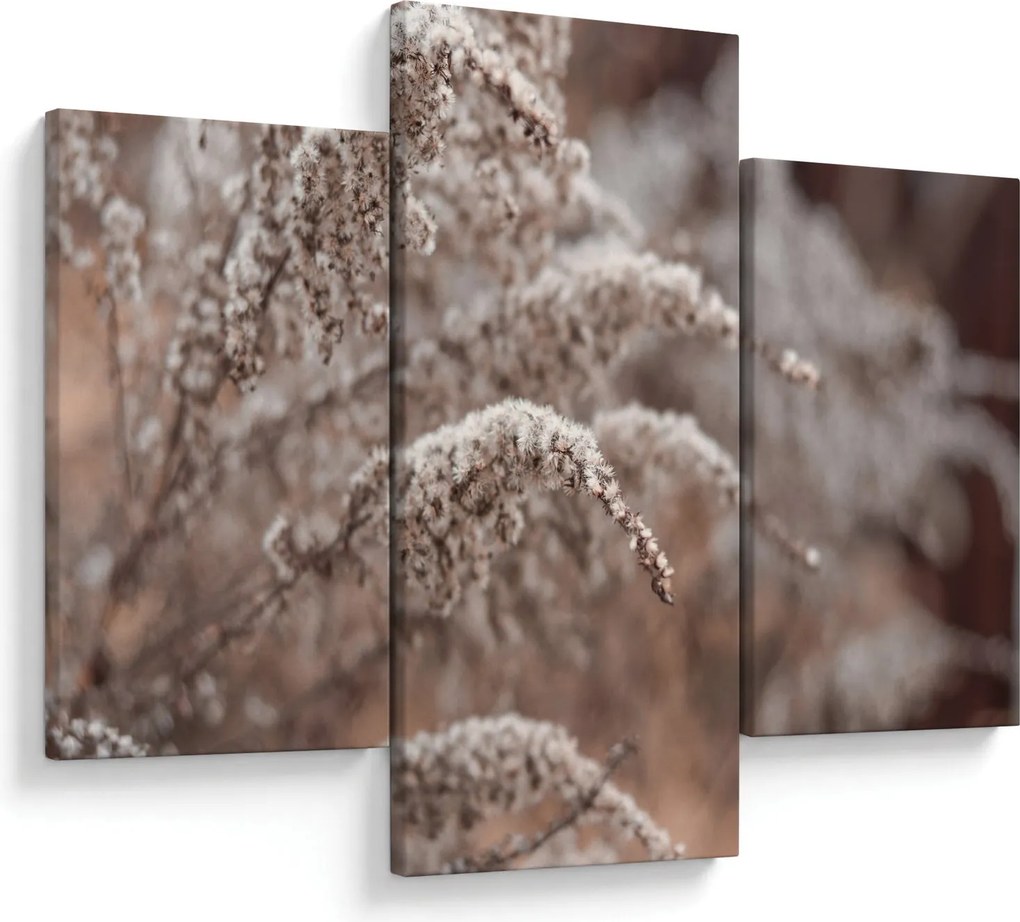 Tablou cu plante (90x60 cm)