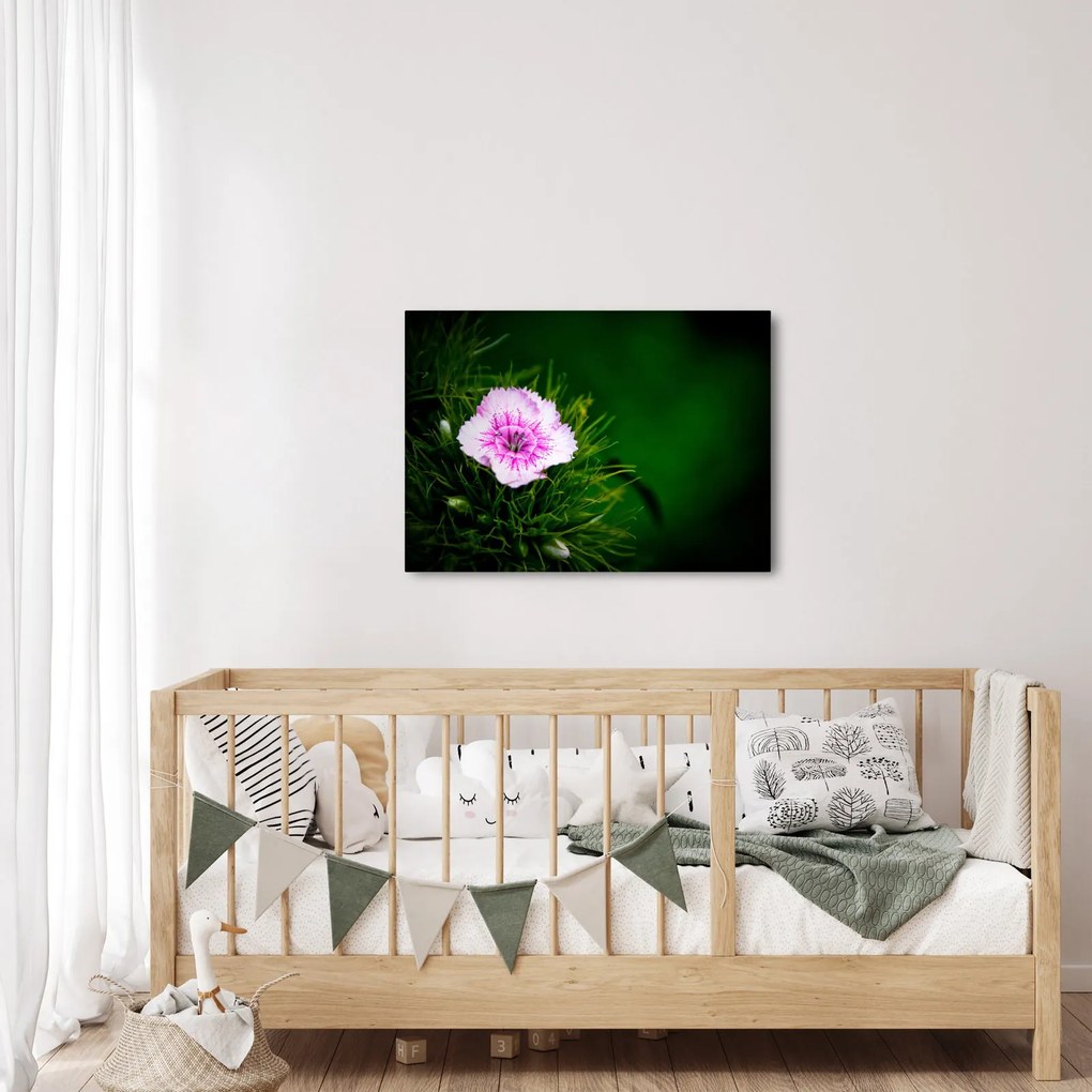 Tablou cu floare roz (70x50 cm)
