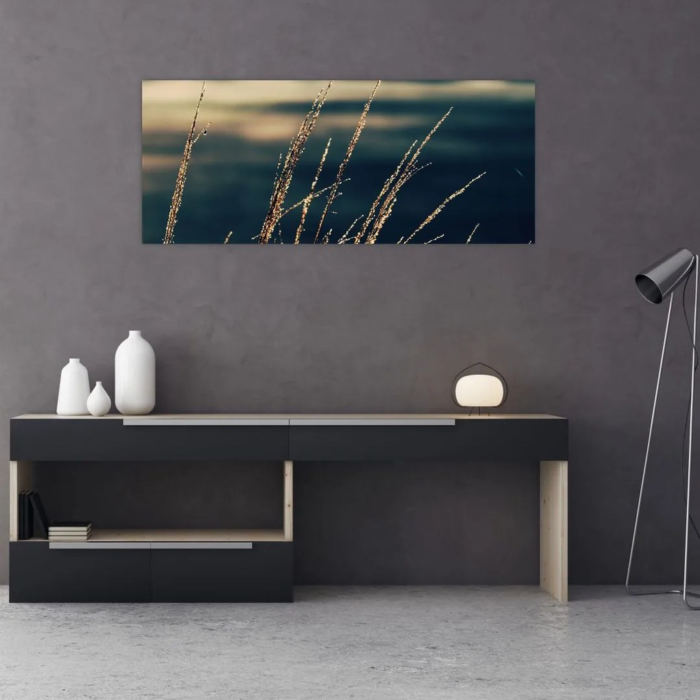 Tablou cu ierburi (120x50 cm)