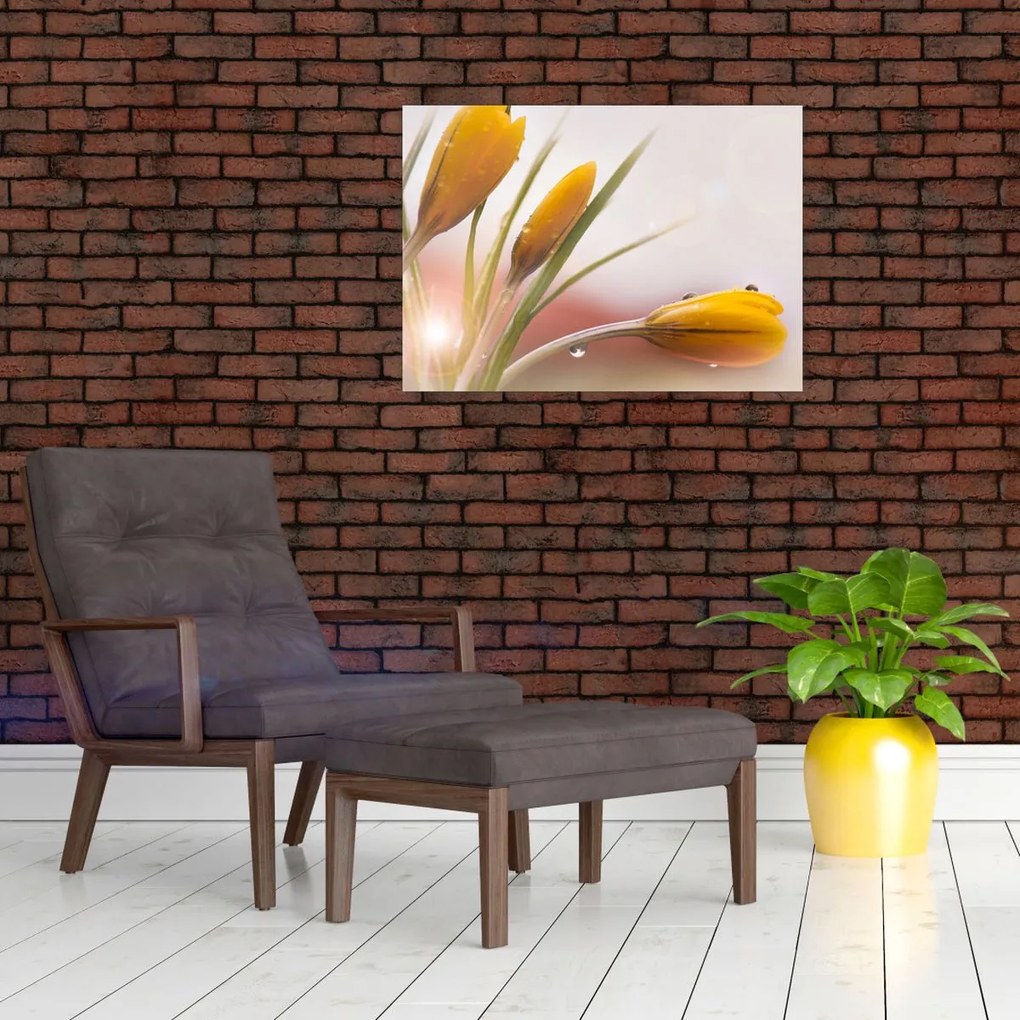 Tablou - Flori de primăvară (70x50 cm)