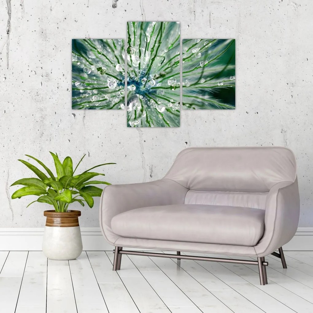 Tablou - Imagine macro a unei flori (90x60 cm)