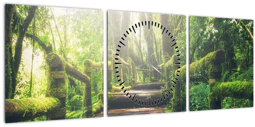 Tablou - trepte din lemn în pădure (cu ceas) (90x30 cm)