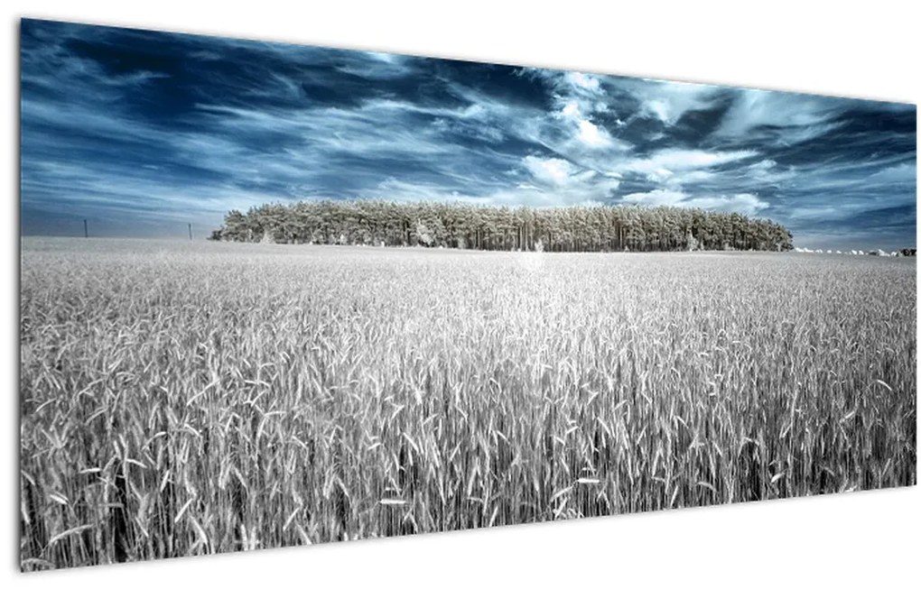 Tablou cu câmp (120x50 cm)