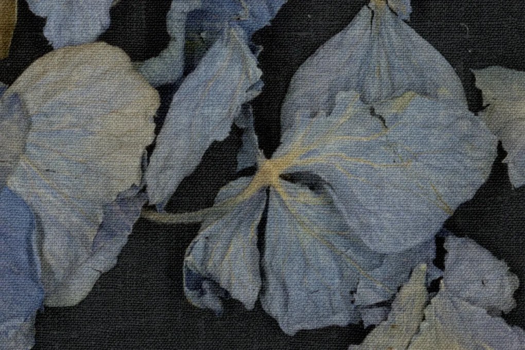 Fototapet, Fragile Beauty, Dark Blue, Rebel Walls