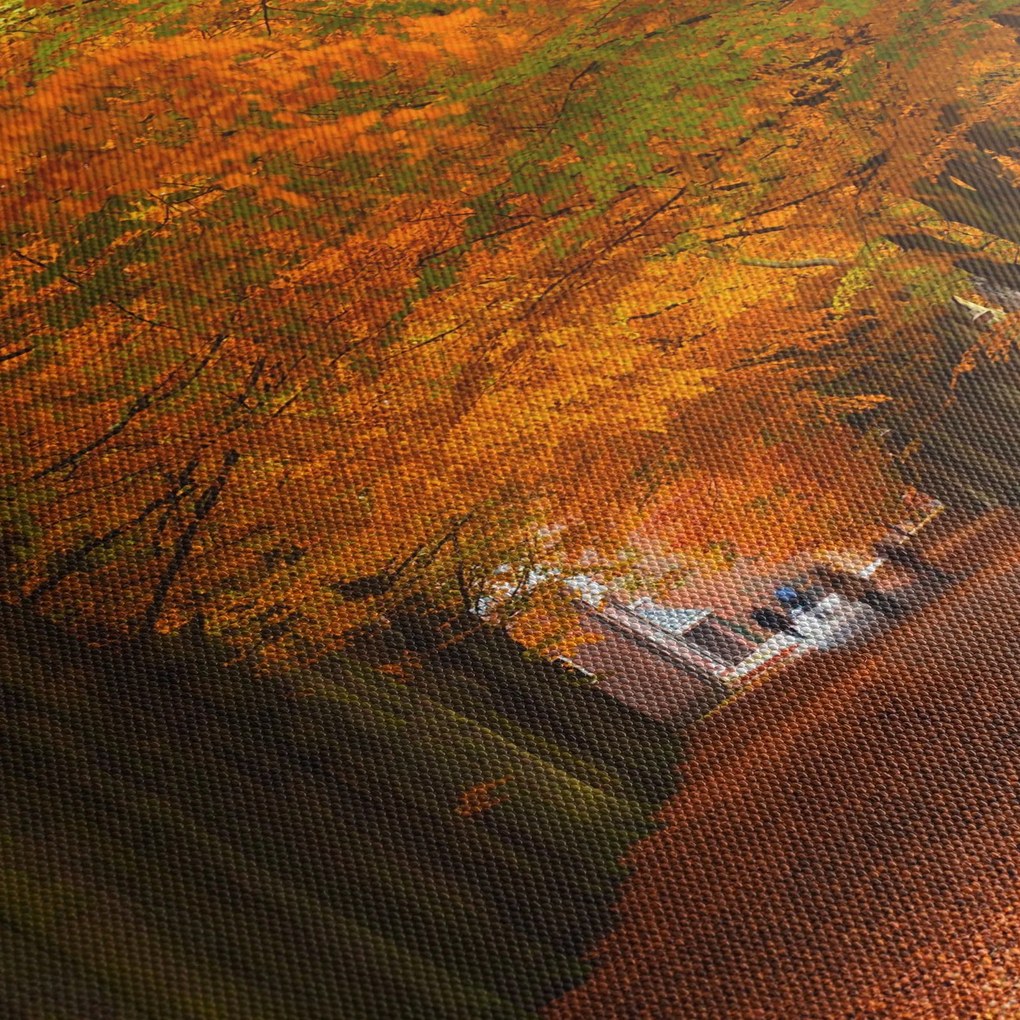 Tablou - Bulevardul de copaci în toamnă (120x50 cm)