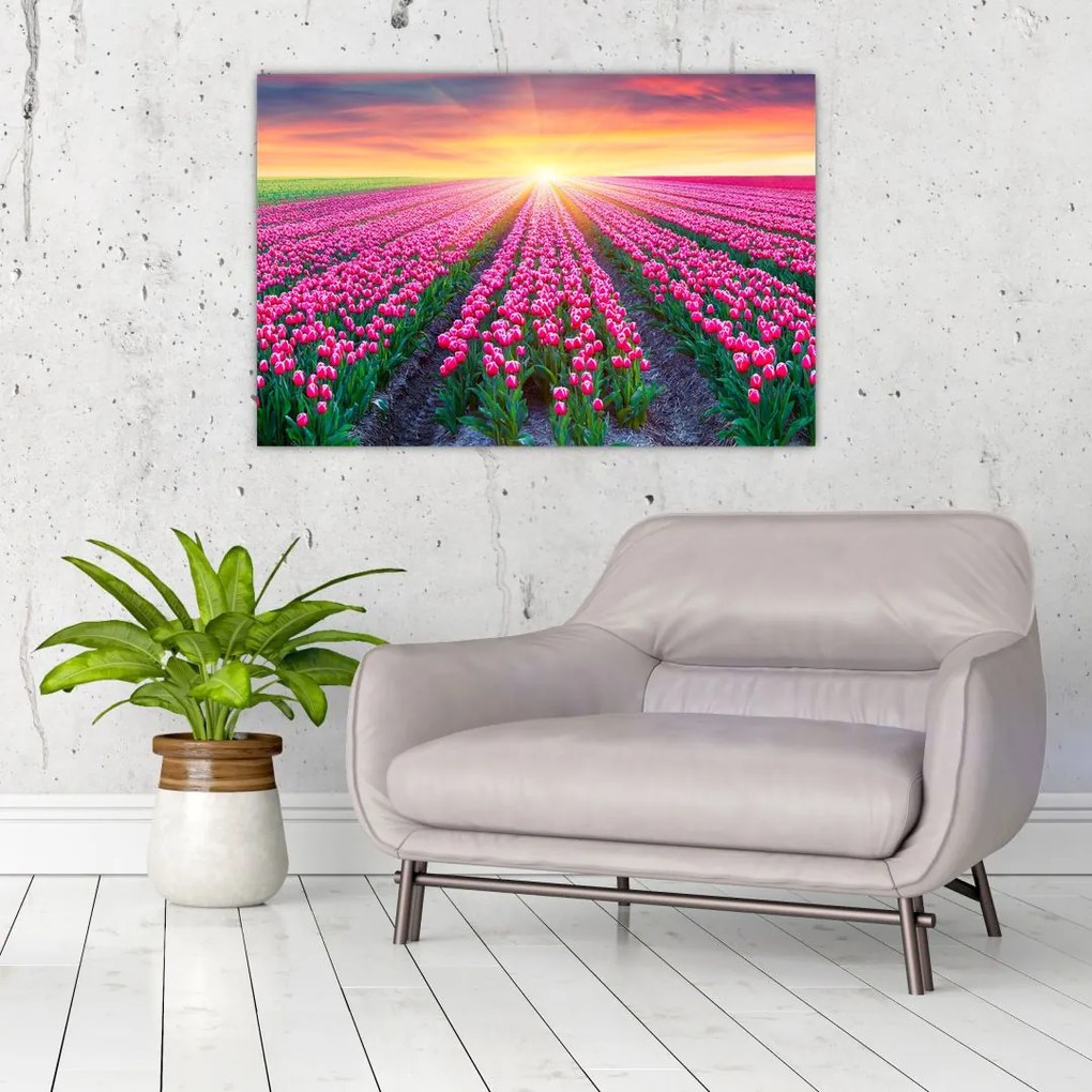 Tablou cu câmp de lalele cu soare (90x60 cm)
