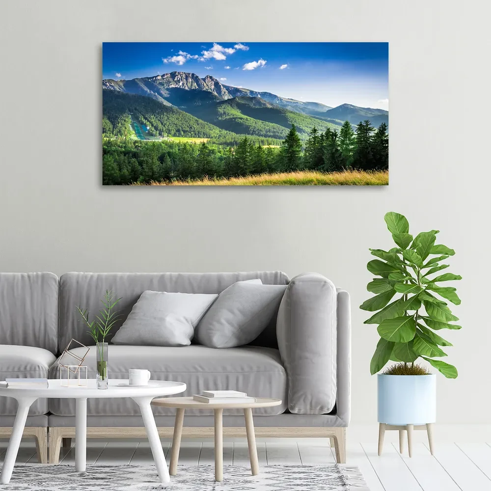 Print pe canvas Dealul din tatra