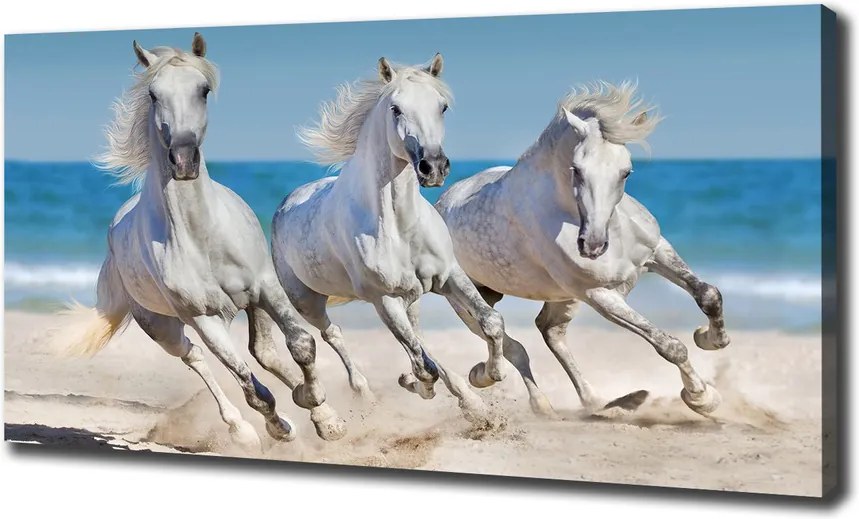 Print pe pânză White beach horse