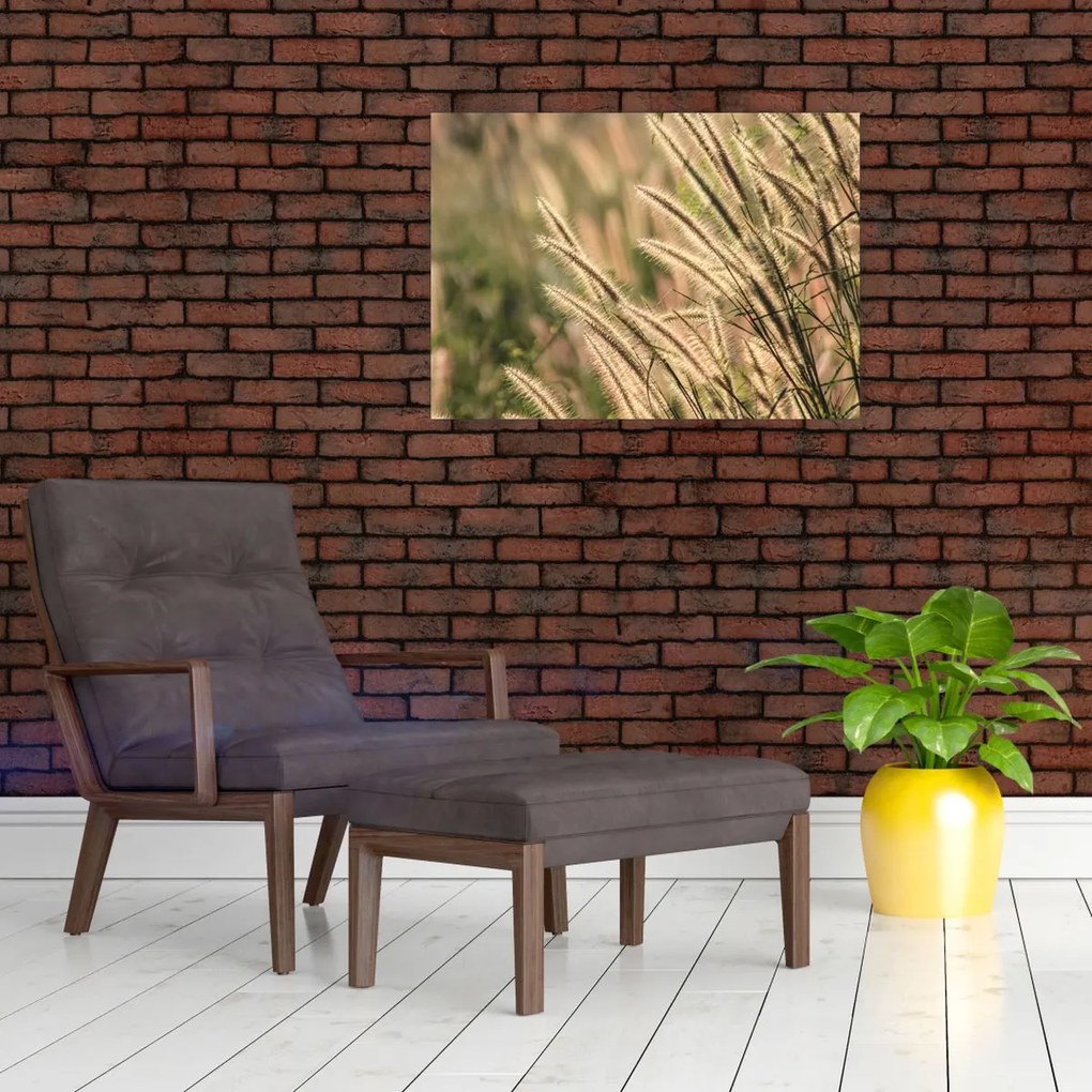 Tablou - Cereale (70x50 cm)