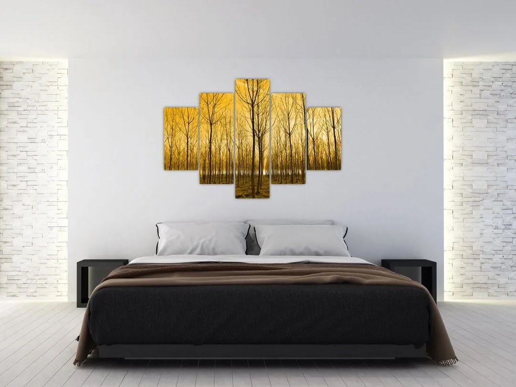 Tablou cu pădure în apus de soare (150x105 cm)