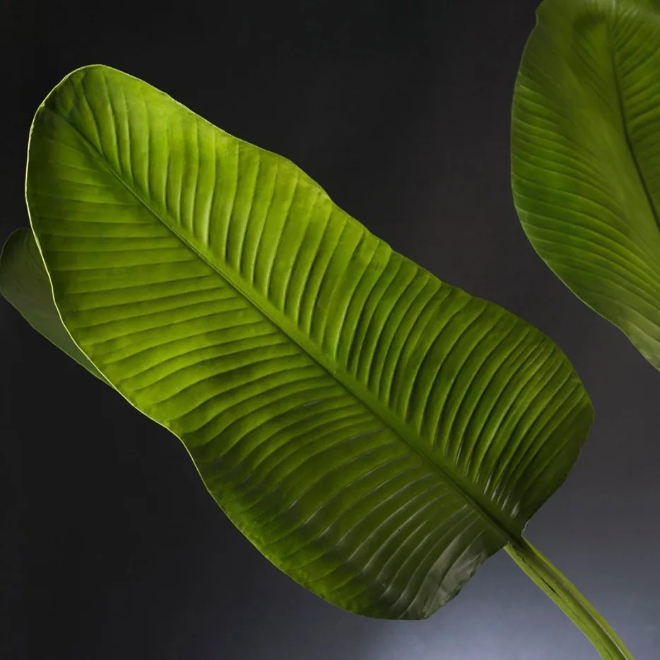 Aranjament floral mare ETERNITY CLEX PARADISE, 215cm