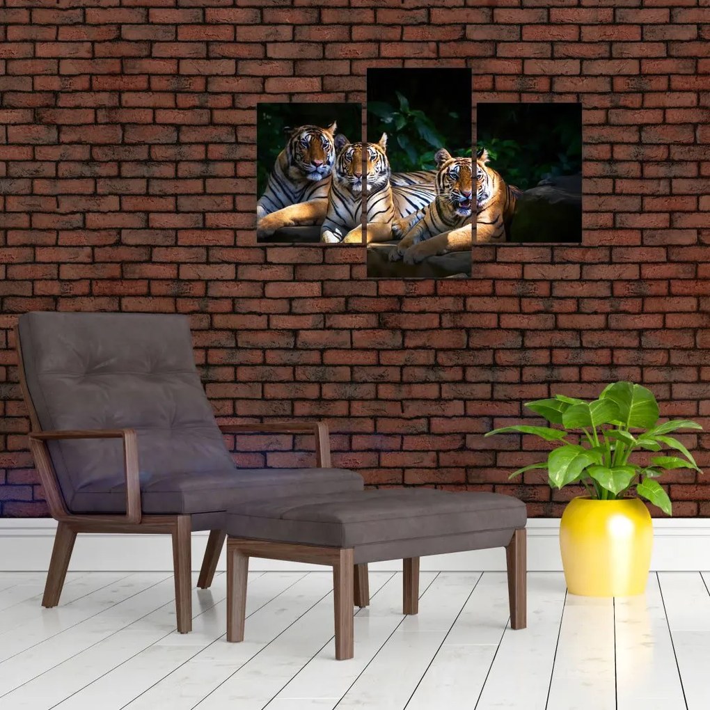 Tablou - Tigrii frați (90x60 cm)