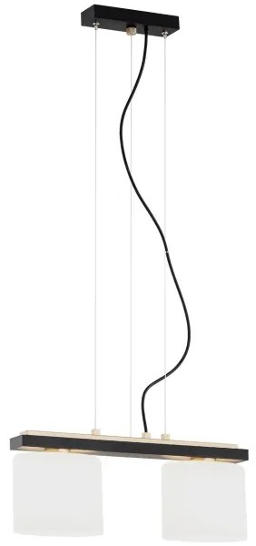 Lustră pe cablu CANOA 2xE27/15W/230V Argon 7164