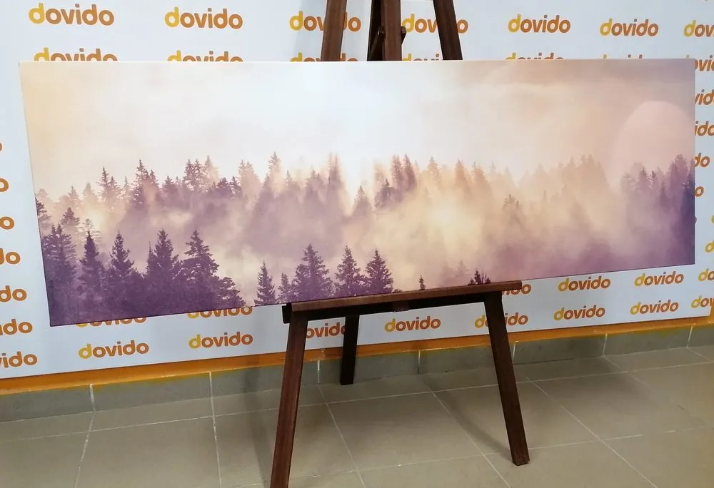 Tablou ceață deasupra pădurii