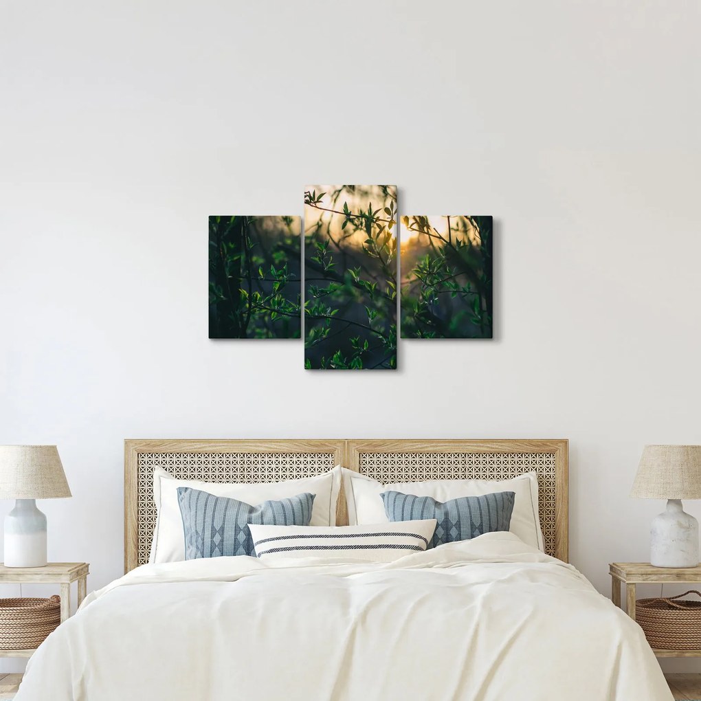 Tablou - Soarele strălucind printre crengile copacilor (90x60 cm)