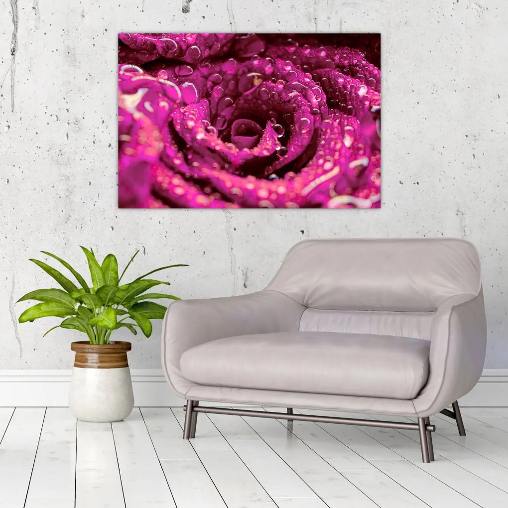 Tabloul cu floarea trandafirului roz (90x60 cm)