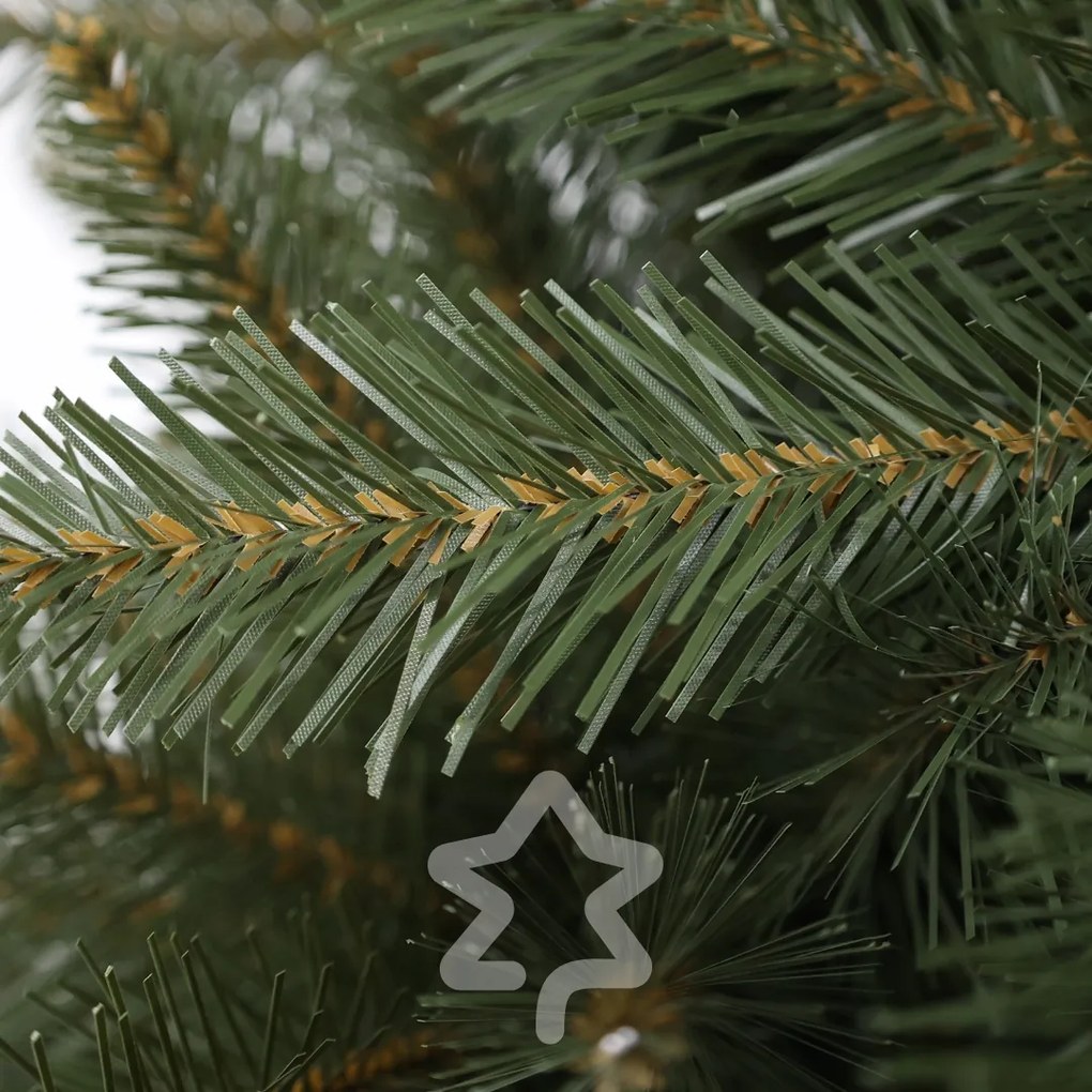 Molid Caucazian 2D 180 cm