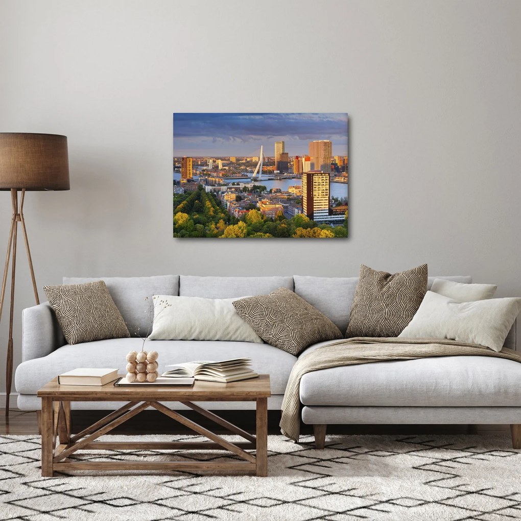 Tablou - Panorama Rotterdamului, Țările de Jos (70x50 cm)