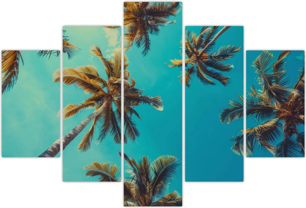 Tablou - Palmieri înalți (150x105 cm)