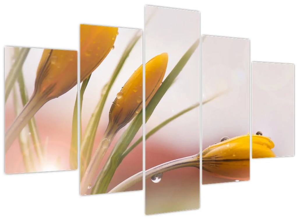 Tablou - Flori de primăvară (150x105 cm)