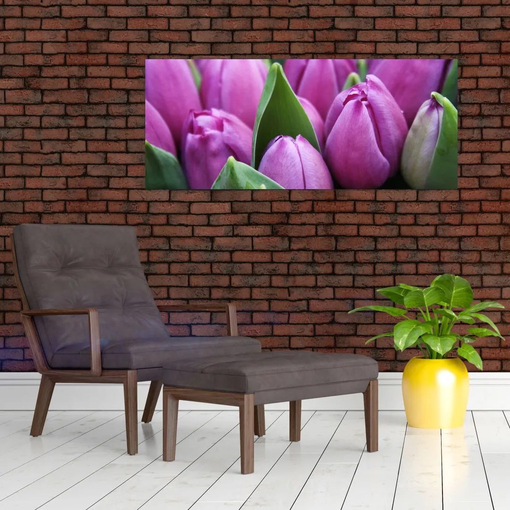 Tablou - florile lalelelor (120x50 cm)