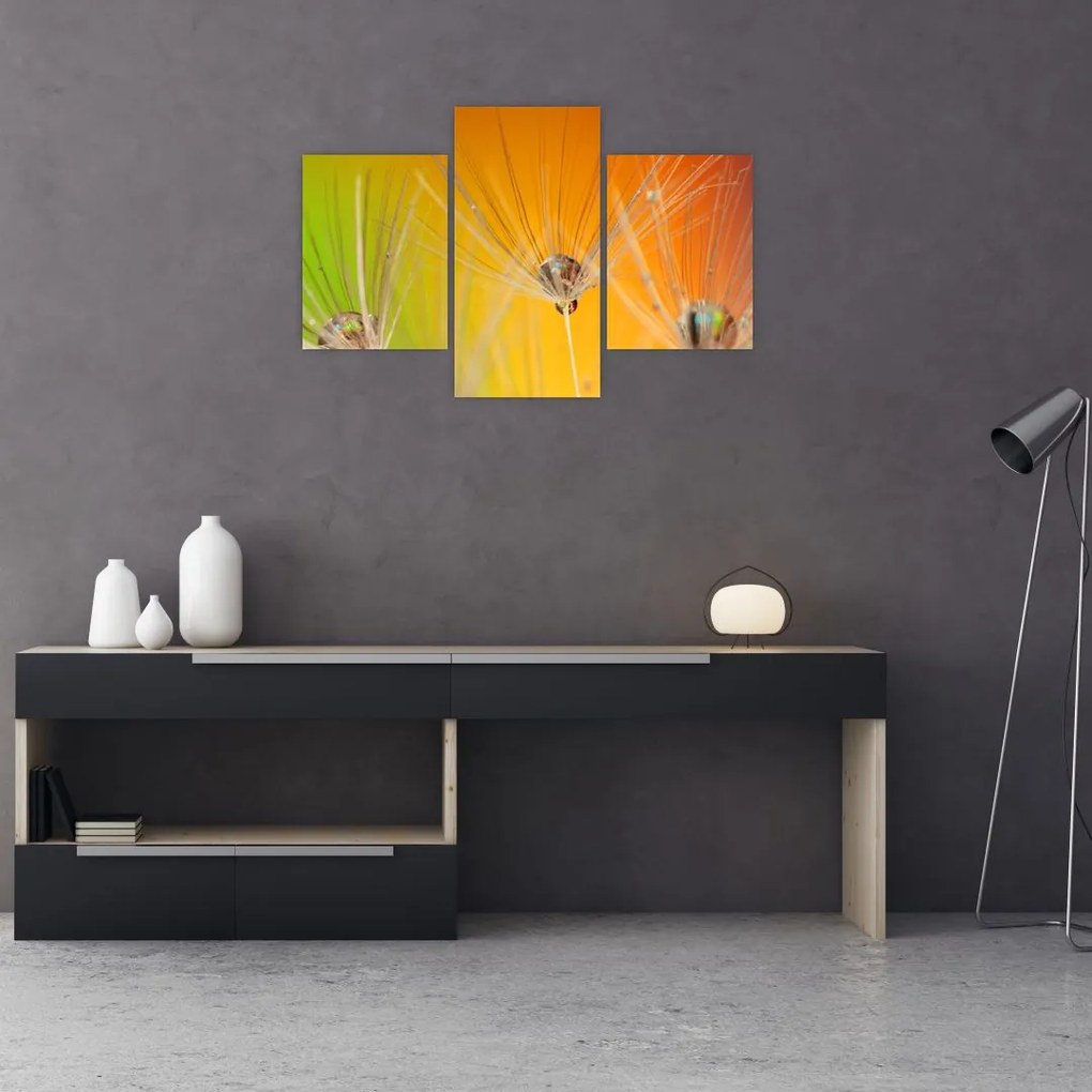 Tablou cu picături pe plantă (90x60 cm)