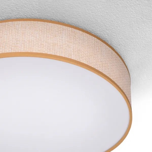 Plafonieră LED dimabilă Brilagi CARMEN LED/48W/230V 3000-6500K + telecomandă