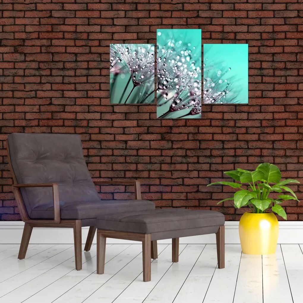 Tablou - planta cu rouă (90x60 cm)