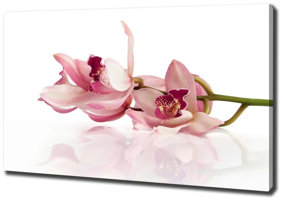 Print pe canvas Orhidee