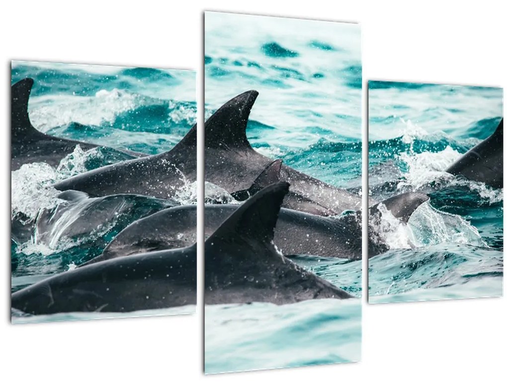 Tablou - Delfini în ocean (90x60 cm)