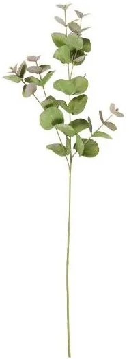 IB Laursen Ramura artificiala de eucalipt TWIG