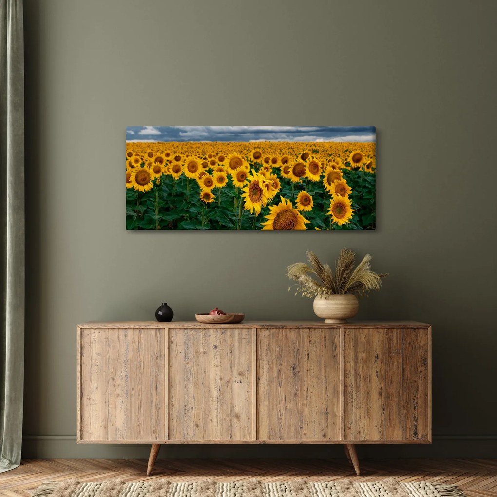 Tablou câmpului de floarea soarelui (120x50 cm)