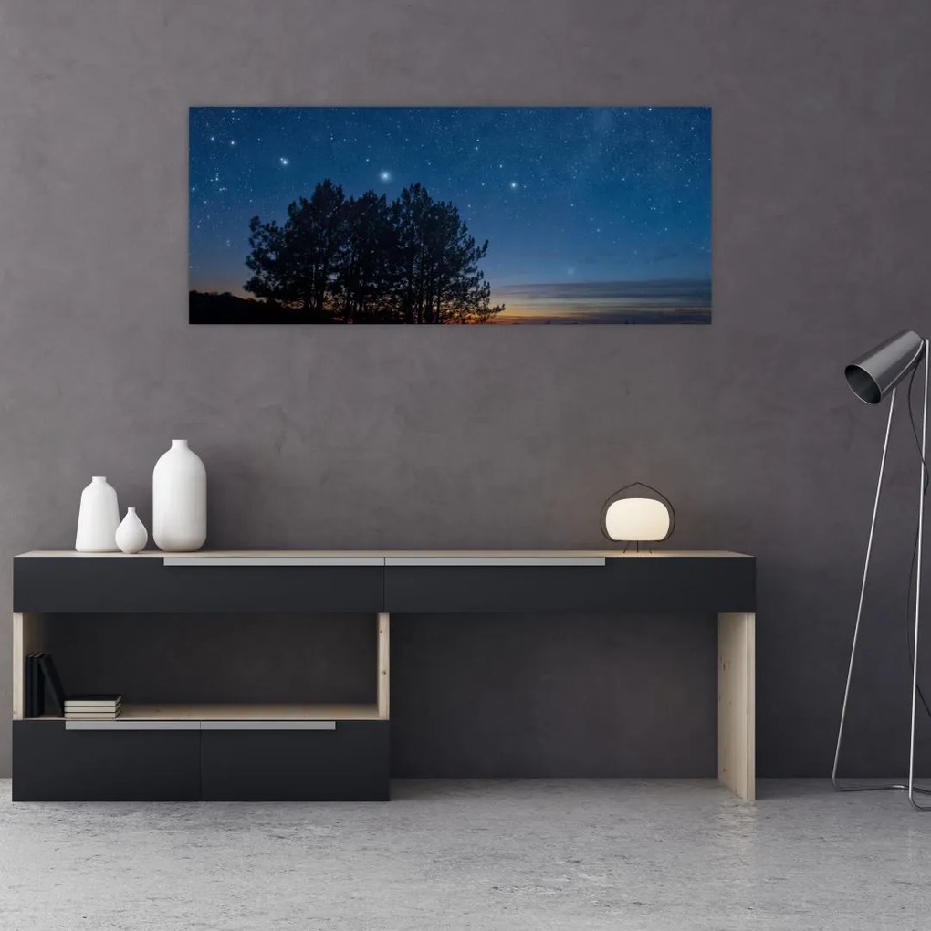 Tablou cu copaci noapte (120x50 cm)