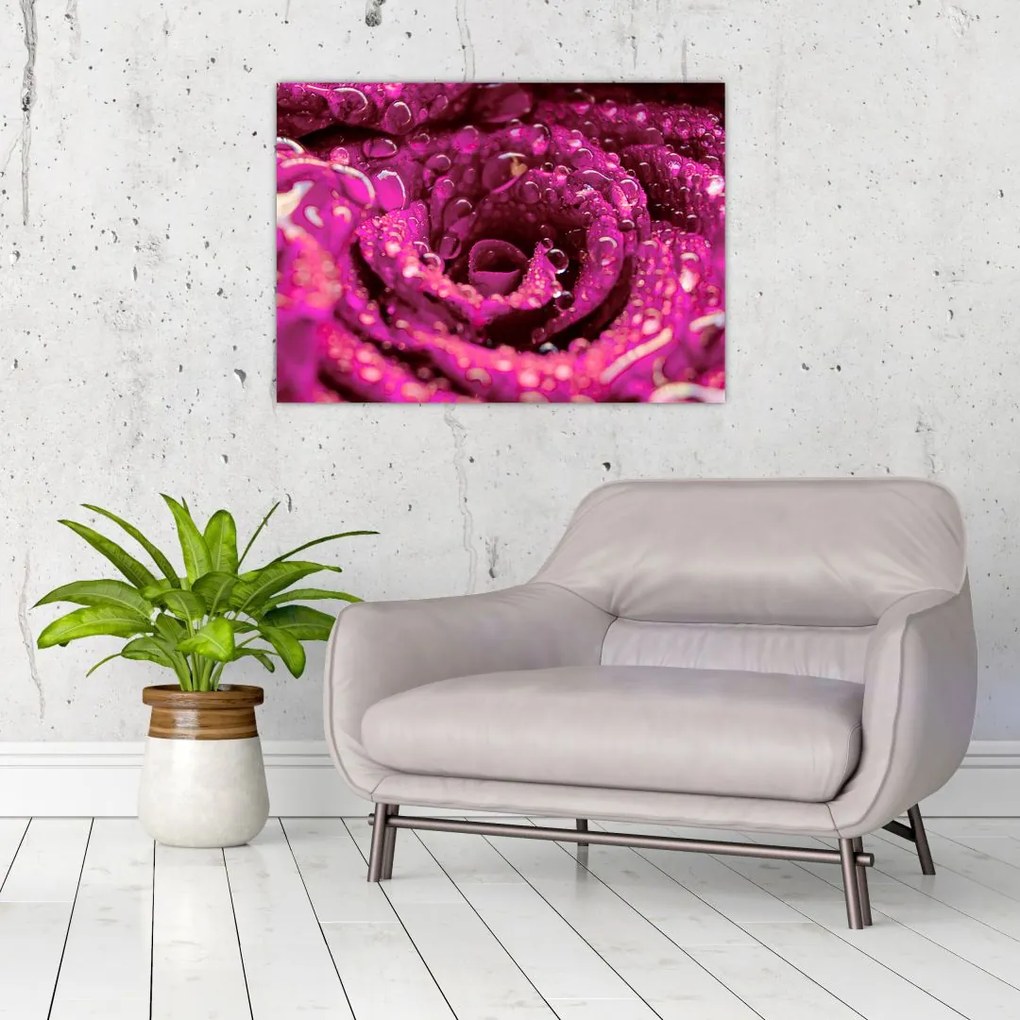 Tabloul cu floarea trandafirului roz (70x50 cm)
