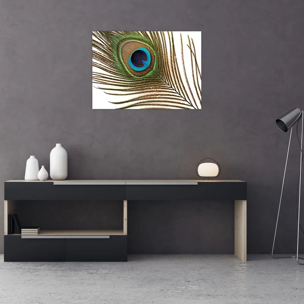 Tablou cu pene de păun (70x50 cm)