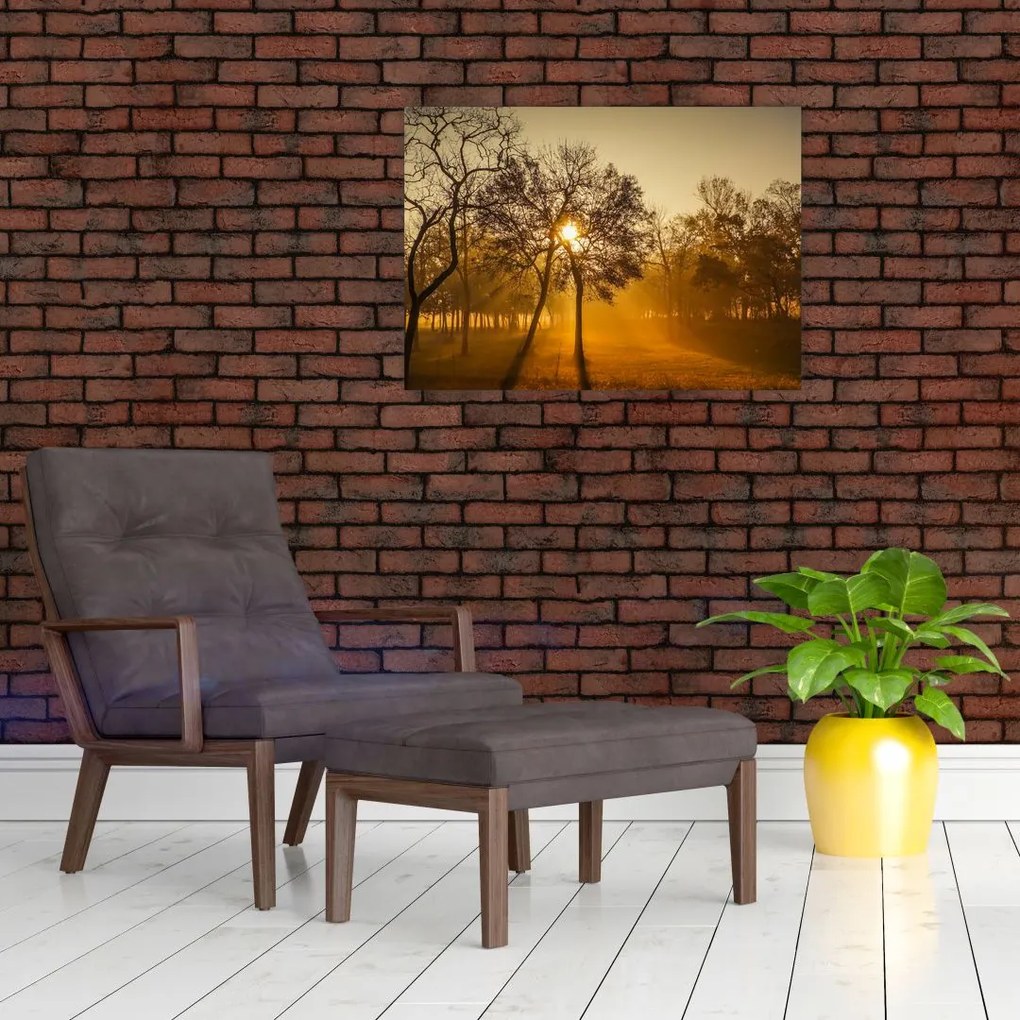 Tablou pe sticlă cu răsăsrit de soare (70x50 cm)