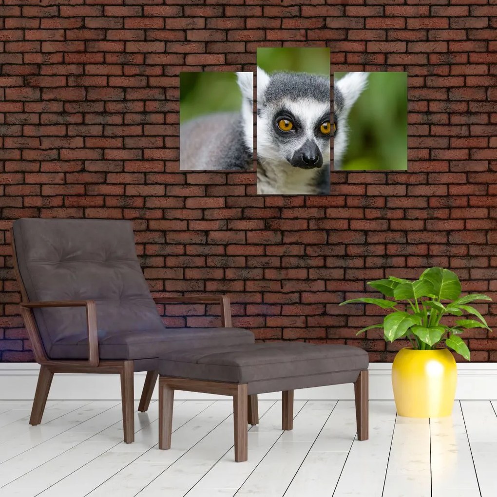 Tablou cu lemur (90x60 cm)